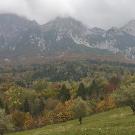 Brocheta Belluno
