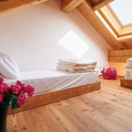 Guest house Brocheta Belluno